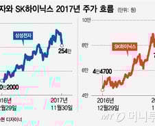 삼성전자 '왕좌' 내줄까… 2018년 주도주는 자동차? 