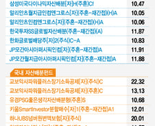 내년 증시 조정기 대비엔 '자산배분형 펀드'에 주목