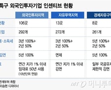 [단독]EU에 백기 든 정부, '조세회피처 논란' 없앤다  