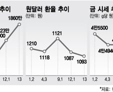 비트코인 '폭등'에 금값은 '하락'…안전자산 대체하나