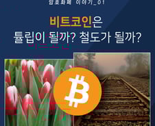[카드뉴스]비트코인! '튤립'이 될까 '철도'가 될까