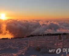 새해 결심을 끝까지 지켜나가는 비결