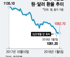 올해도 '달러 약세'… 철광석·알루미늄 투자해볼까