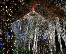 바람 부는 바람에, 바람 잡는 바람에, 바람 피는 바람에