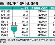 [단독]"기업 전력사용 줄여라" 정부 '급전지시' 폐지