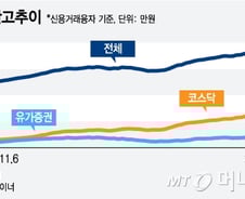 [MT리포트]증시막차? 개인투자자, 어떻게 해야하나