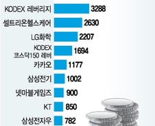 '학습효과' 개인, 삼성電·셀트리온에 '베팅' 