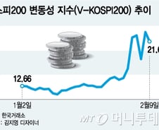 '변동성의 시대' 어떻게 대처할까