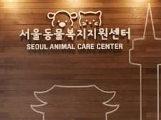 [단독] 서울에도 공공 동물보호교육센터 생긴다