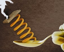 인턴에도 금수저가 있다