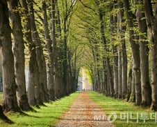 재테크 따윈 잊어버리고 돈나무를 심어라