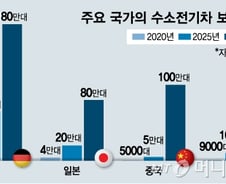 [MT리포트]일반인 쓸 수 있는 수소충전소 4곳뿐…오해·규제 풀어야