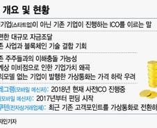 [MT리포트]IT·전자상거래 공룡도 군침…'리버스 ICO' 뭐길래?