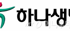 [단독]금감원, 하나금융 계열사 하나생명 IT 검사 착수