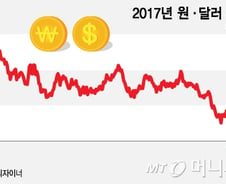 [단독]외환시장 개입 내역 공개 검토