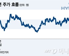 美·中 부진에 에어백 이슈까지, 안갯속 현대차