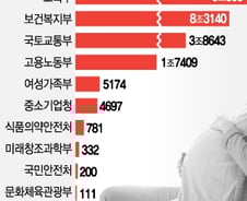 [MT리포트]554개의 저출산 사업 뜯어보니