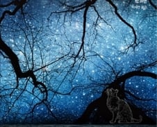 빅뱅 이론 설명 못하는 과학계에 반기…“의식없이 현실 존재하지 않아”