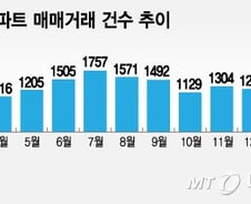 [MT리포트]"서울 대신 용인"…수도권行 짐싼 갭투자