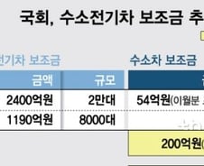 [단독]국회, 추경에 수소차 예산 '200억' 추가한다