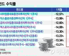 "좋다고 해서 샀더니…" 러시아펀드 '울상'