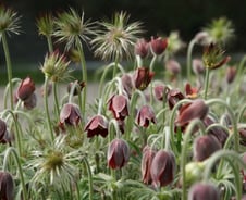 [웰빙에세이]행복을 원하기 때문에 불행하다