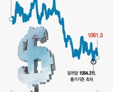 한반도 긴장완화에 원화강세… "환율 하락할 때 주식 사라"