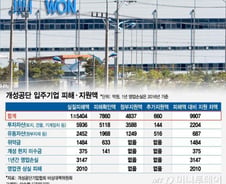 [단독]"개성공단기업 재기지원" 팔걷은 중기부