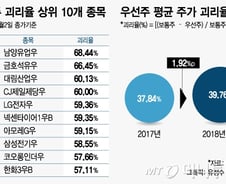 이틀연속 상한가 속출…우선주에 무슨일이