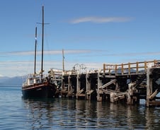 월급쟁이여, 성공하려면 야성을 가져라