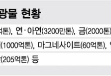 [단독]北 자원개발 시동...'광업공단' 띄운다