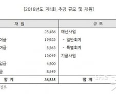 [단독] "추경효과, 취업자 4만명 증가…경제성장률 0.05~0.08%p↑