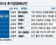 [단독]추경, '청년 일자리'여도 타당성 부족하면 '브레이크'