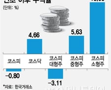 중소형주 약진, 이익성장 주목·수급쏠림은 경계 