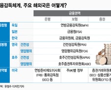 [MT리포트]금융소비자보호, 해외선 어디서 담당하나