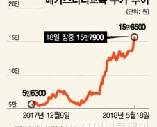 교육시장도 가성비… 메가스터디교육 연일 '신고가'