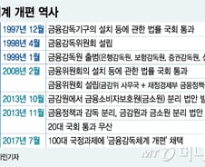 [MT리포트]엑셀과 브레이크 둘러싼 금융위-금감원 갈등 