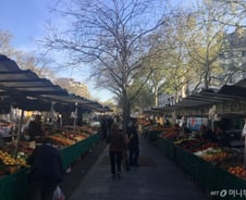 [우보세]파리의 전통시장엔 특별한 것이 있다