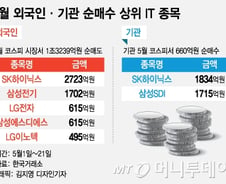 삼성電·SK하이닉스 강세, IT '왕의 귀환' 기대감 고조 