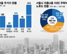 [MT리포트]집값 잡으며 개발도 '낡은 도시' 서울의 딜레마