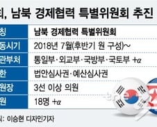 [단독] 국회, 7월 남북경제협력특위 출범
