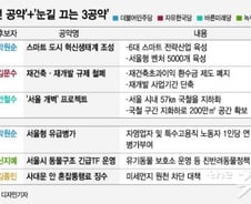 [MT리포트]최대 승부처 서울, 스마트시티vs재건축규제철폐vs'서울개벽'