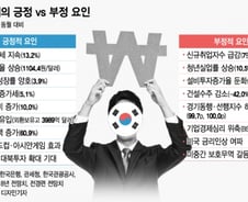 한국경제 위기 맞나?…긍정요인 무시하고 위기설만 증폭