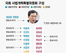 [단독]사법개혁 재시동 與…사개특위 시한 연장 추진·율사출신 투입