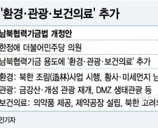 [단독]남북경협에 '환경·관광·보건의료' 추가 추진