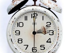 하루는 1440분…개구리를 먹는 것이 시간관리의 핵심