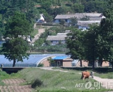 [MT리포트]북한 주택시장 키워드 '시세권', '학세권'…월세도 등장