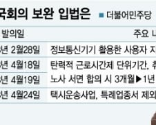 [MT리포트]도입 앞둔 '주 52시간제'…보완책 비상걸린 국회