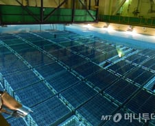 [르포]"핵연료 저장시설 벌써 90% 포화" 월성 원전을 가다