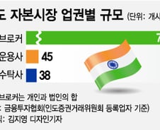 [MT리포트]자본시장, 인도 투자 물꼬 터진다